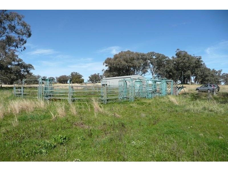 Orange NSW 2800