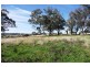 Orange NSW 2800