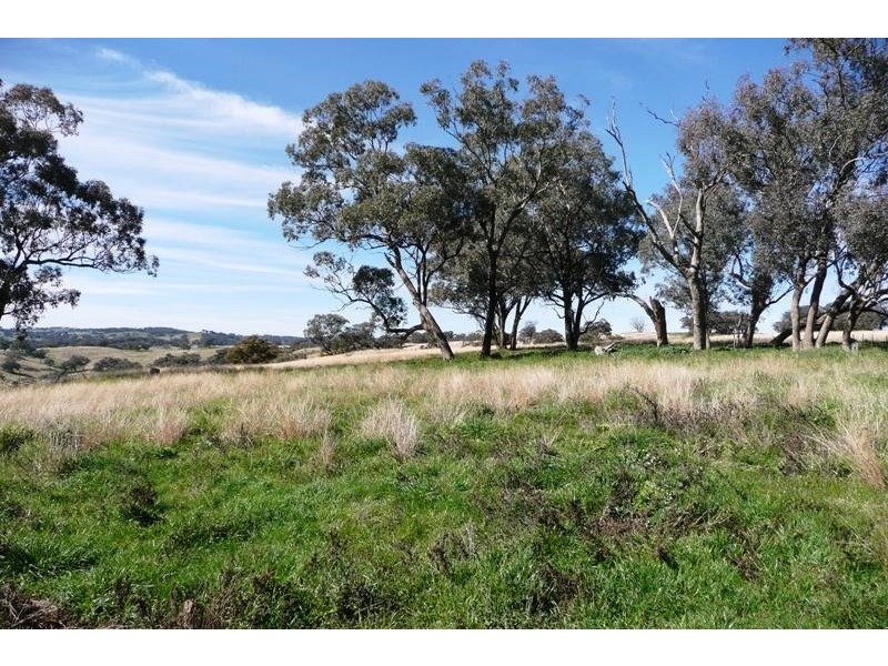 Orange NSW 2800