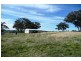 Orange NSW 2800