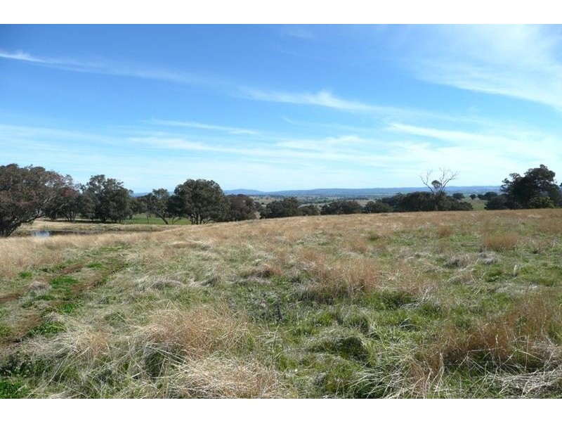 Orange NSW 2800