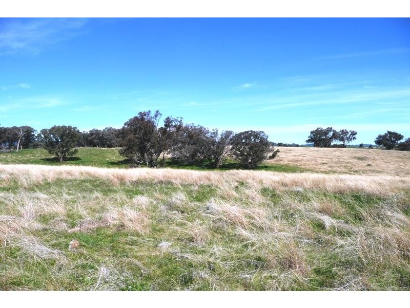 Orange NSW 2800
