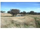 Orange NSW 2800