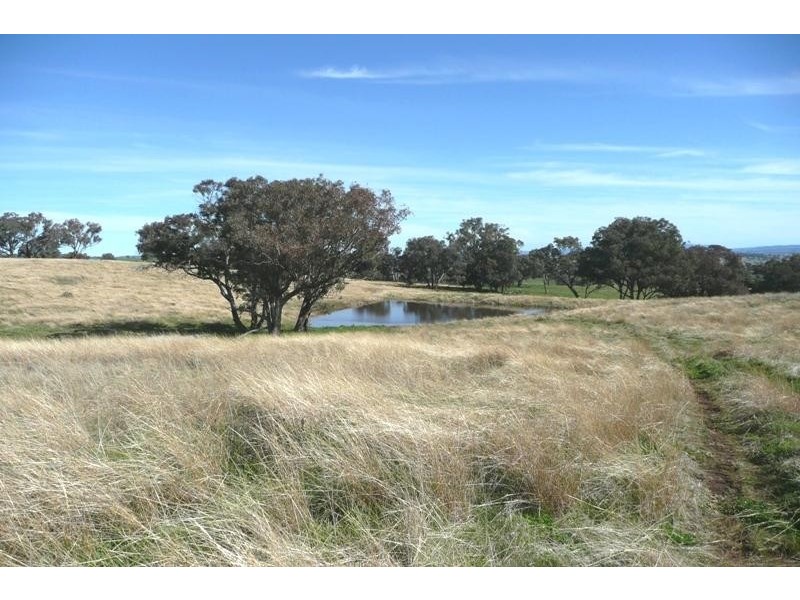 Orange NSW 2800
