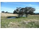 Orange NSW 2800