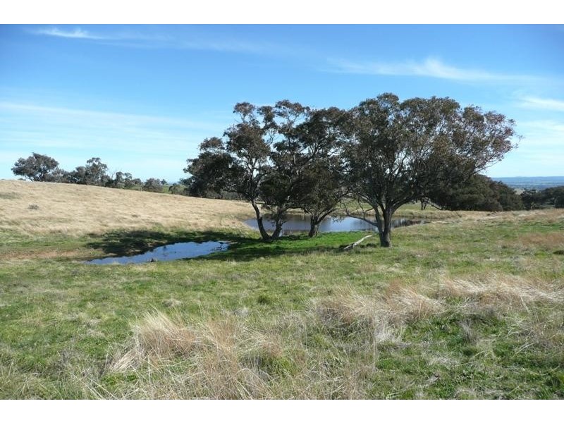 Orange NSW 2800