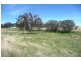Orange NSW 2800