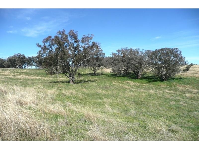 Orange NSW 2800