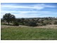 Orange NSW 2800