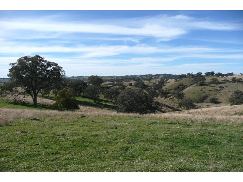 Orange NSW 2800