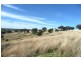 Orange NSW 2800