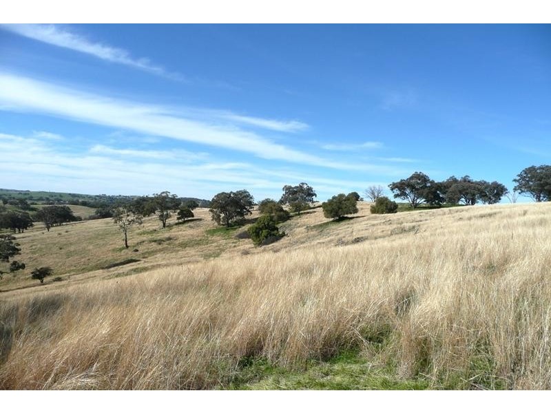 Orange NSW 2800