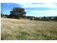 Orange NSW 2800