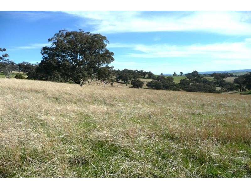 Orange NSW 2800