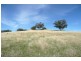 Orange NSW 2800