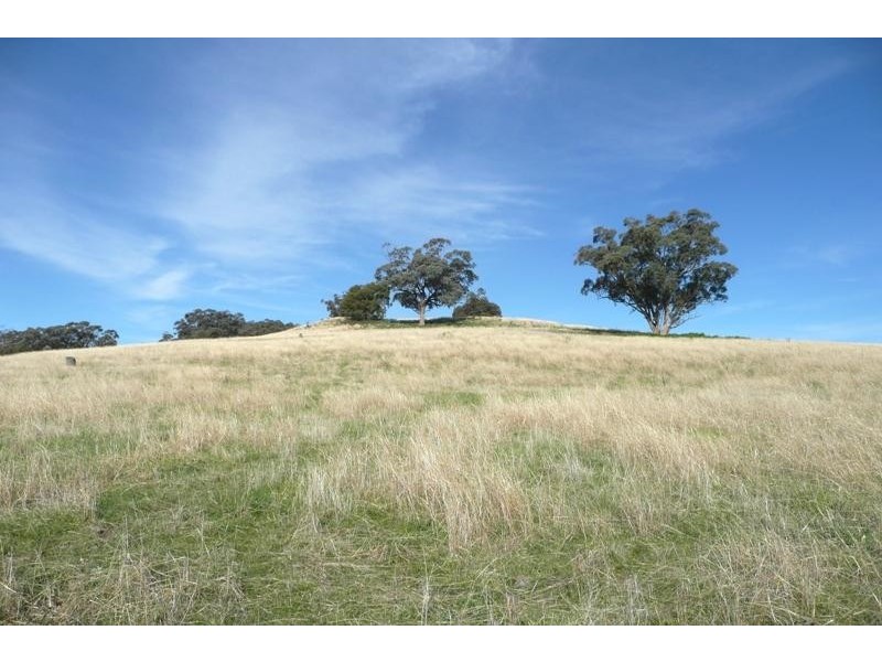 Orange NSW 2800