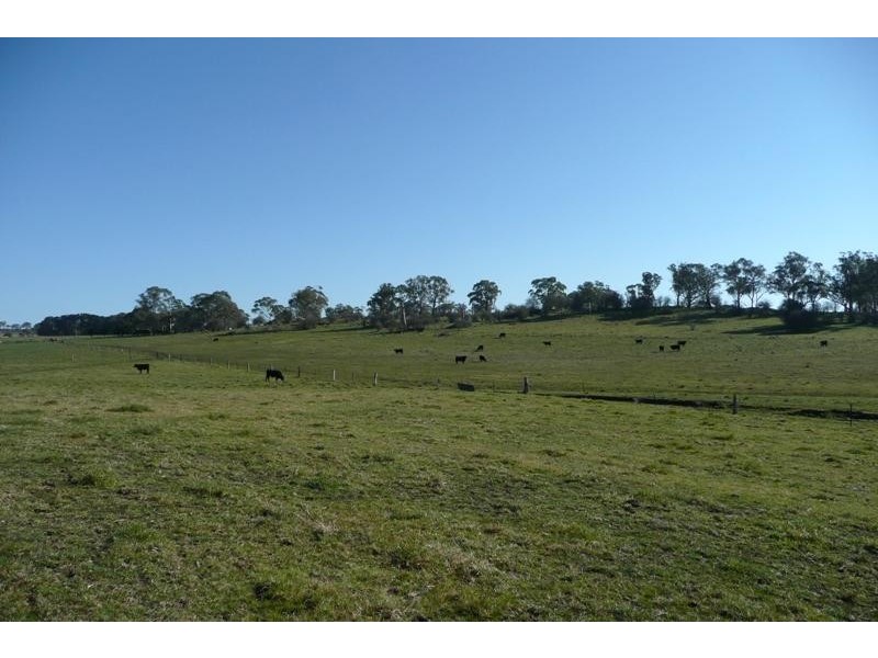 Millthorpe NSW 2798