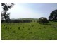 Blayney NSW 2799