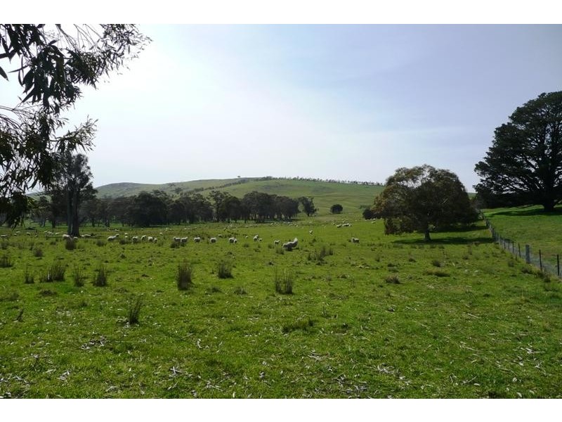 Blayney NSW 2799