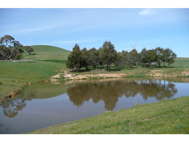 Blayney NSW 2799