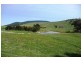 Blayney NSW 2799