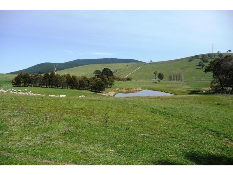 Blayney NSW 2799