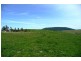 Blayney NSW 2799