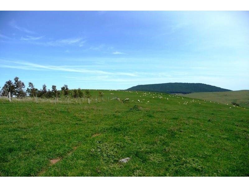 Blayney NSW 2799