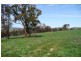 Blayney NSW 2799