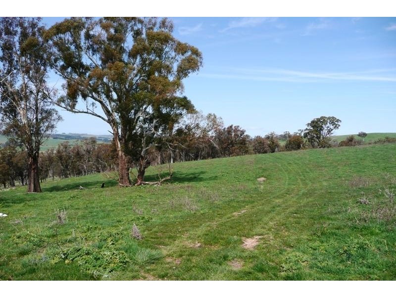Blayney NSW 2799