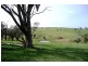 Blayney NSW 2799