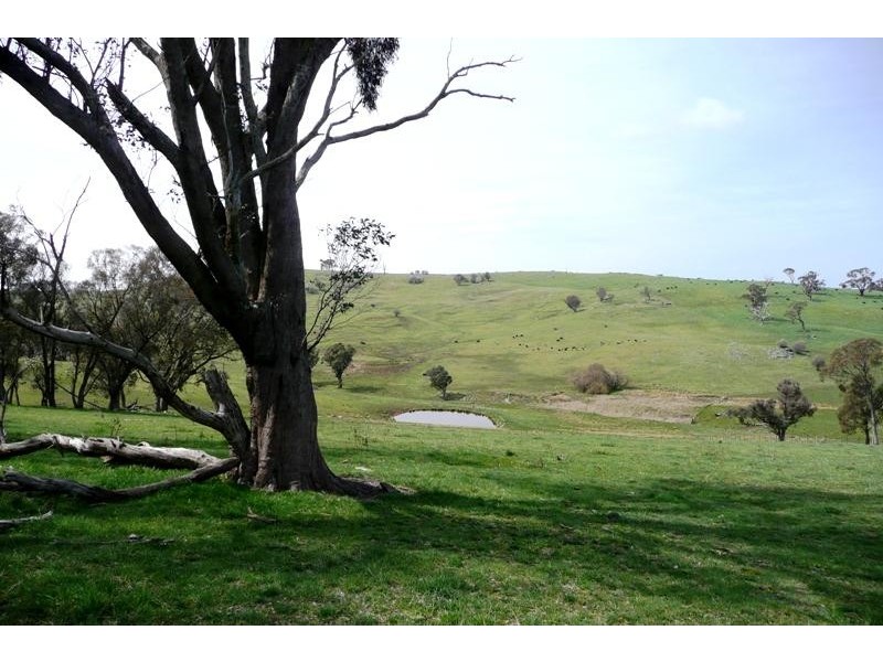 Blayney NSW 2799