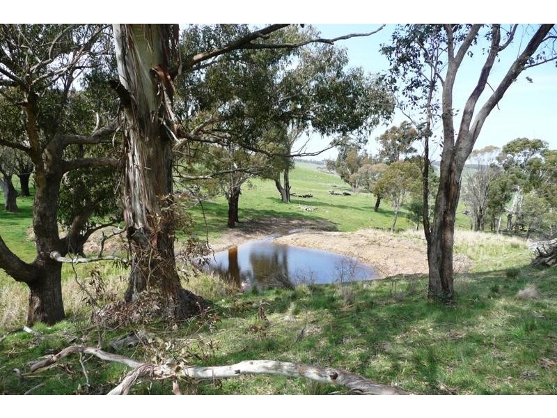 Blayney NSW 2799