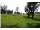 Blayney NSW 2799