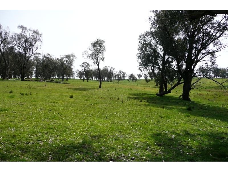 Blayney NSW 2799