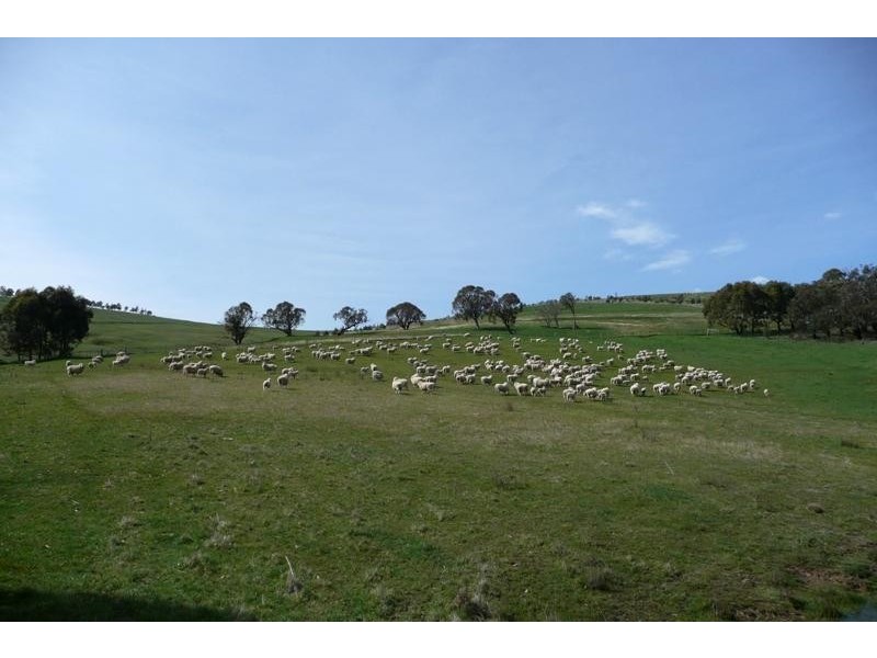 Blayney NSW 2799