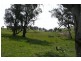 Blayney NSW 2799