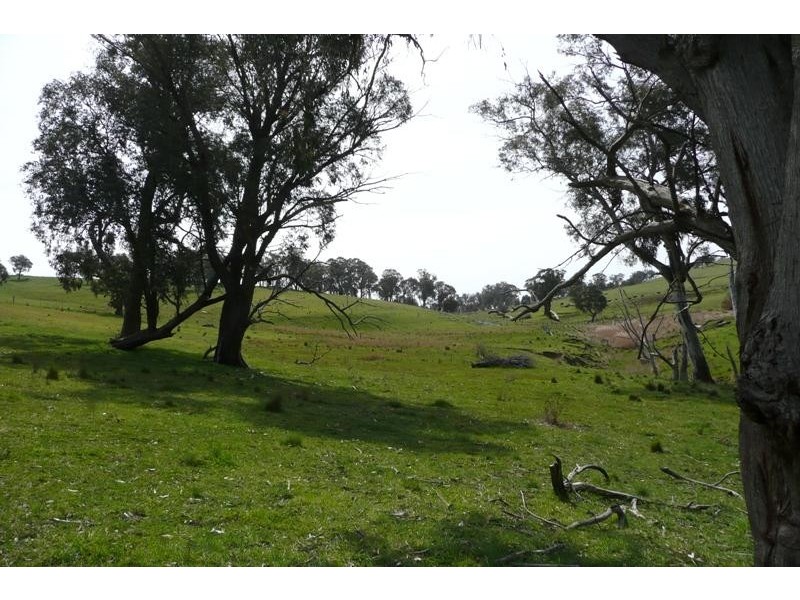 Blayney NSW 2799