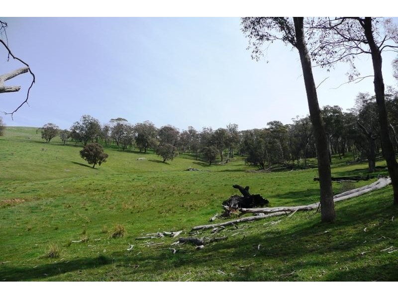 Blayney NSW 2799