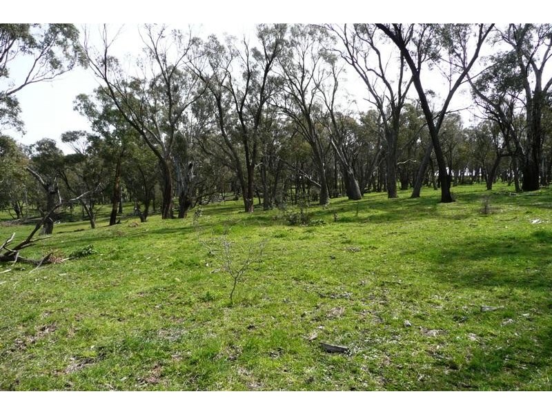 Blayney NSW 2799