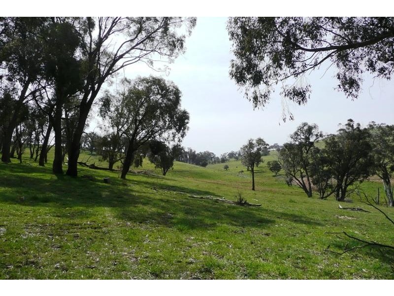 Blayney NSW 2799