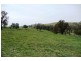 Blayney NSW 2799