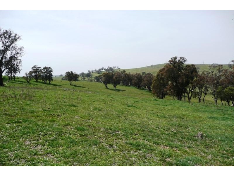 Blayney NSW 2799