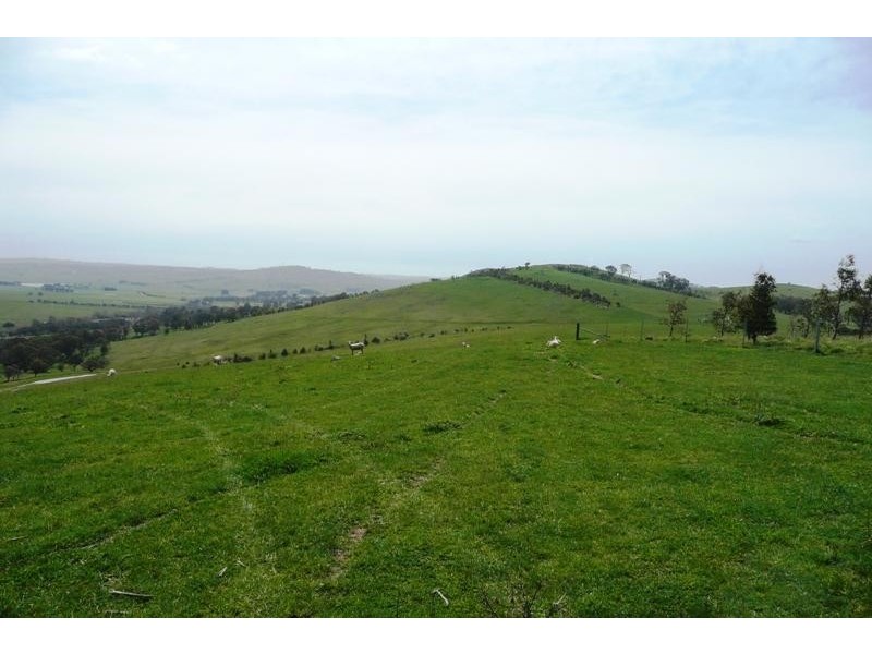 Blayney NSW 2799