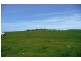 Blayney NSW 2799