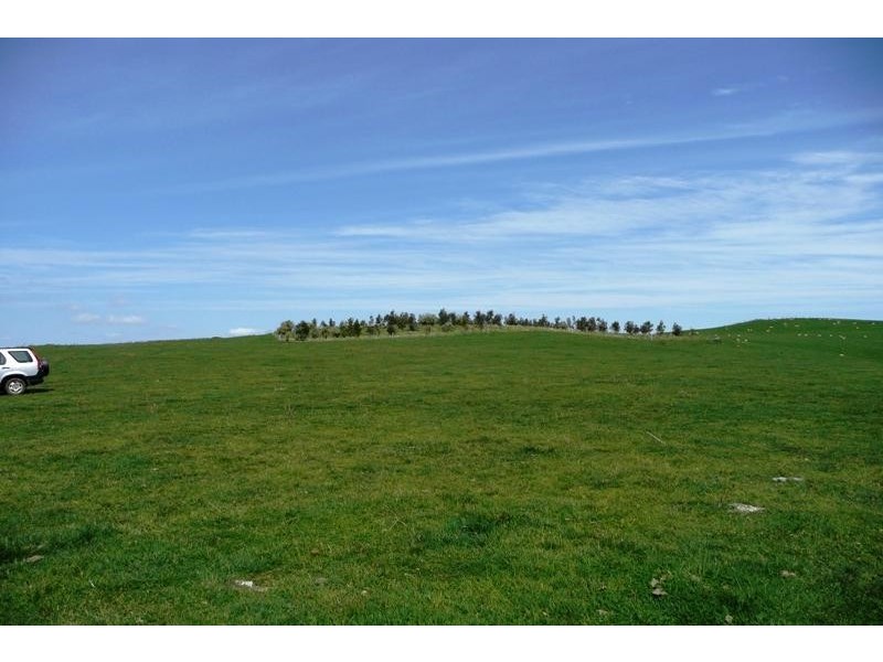 Blayney NSW 2799