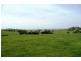 Blayney NSW 2799