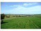 Blayney NSW 2799