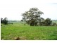 Blayney NSW 2799