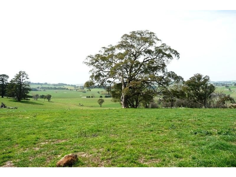 Blayney NSW 2799